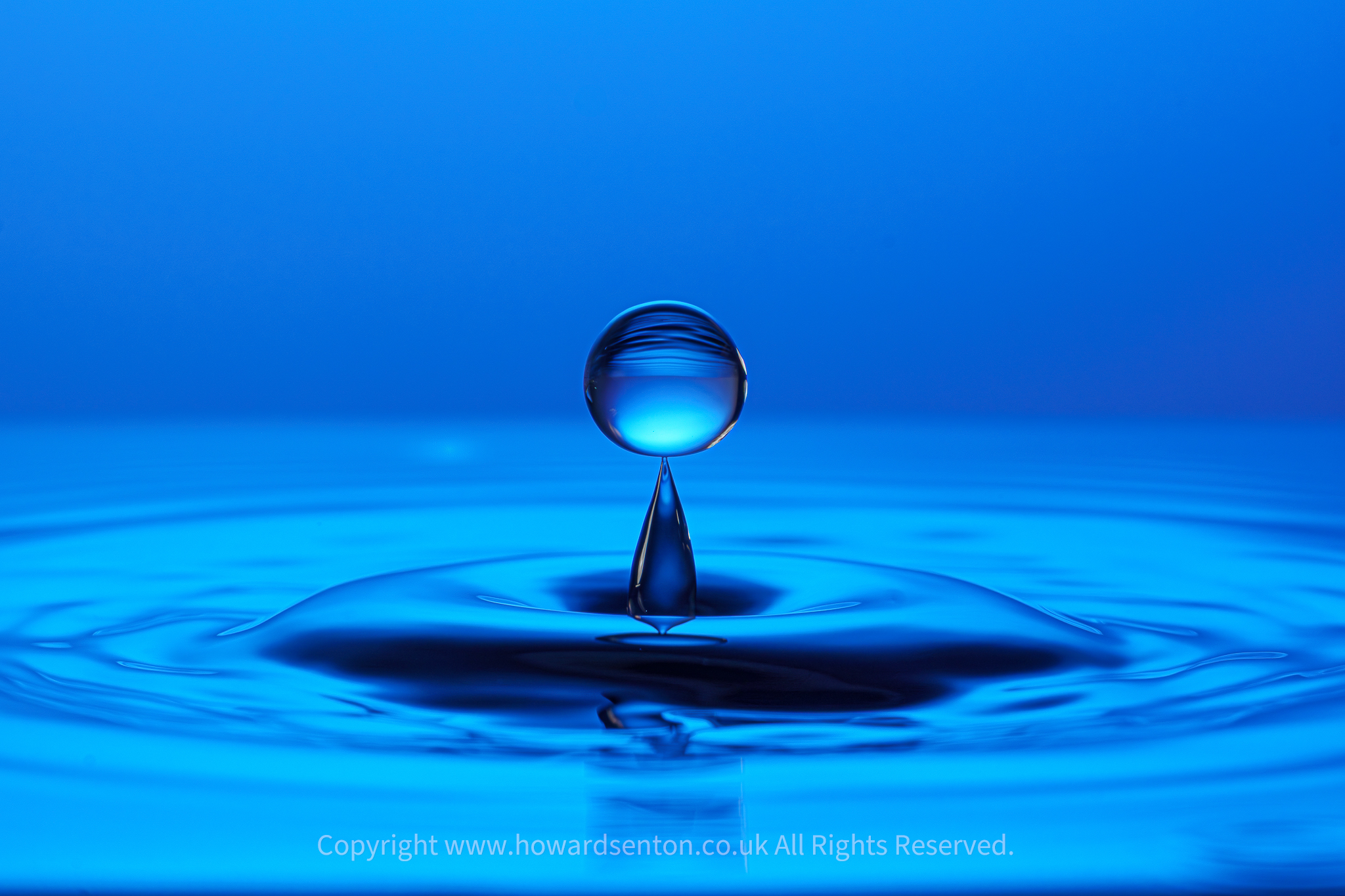 Water Drops Photograpy Guide